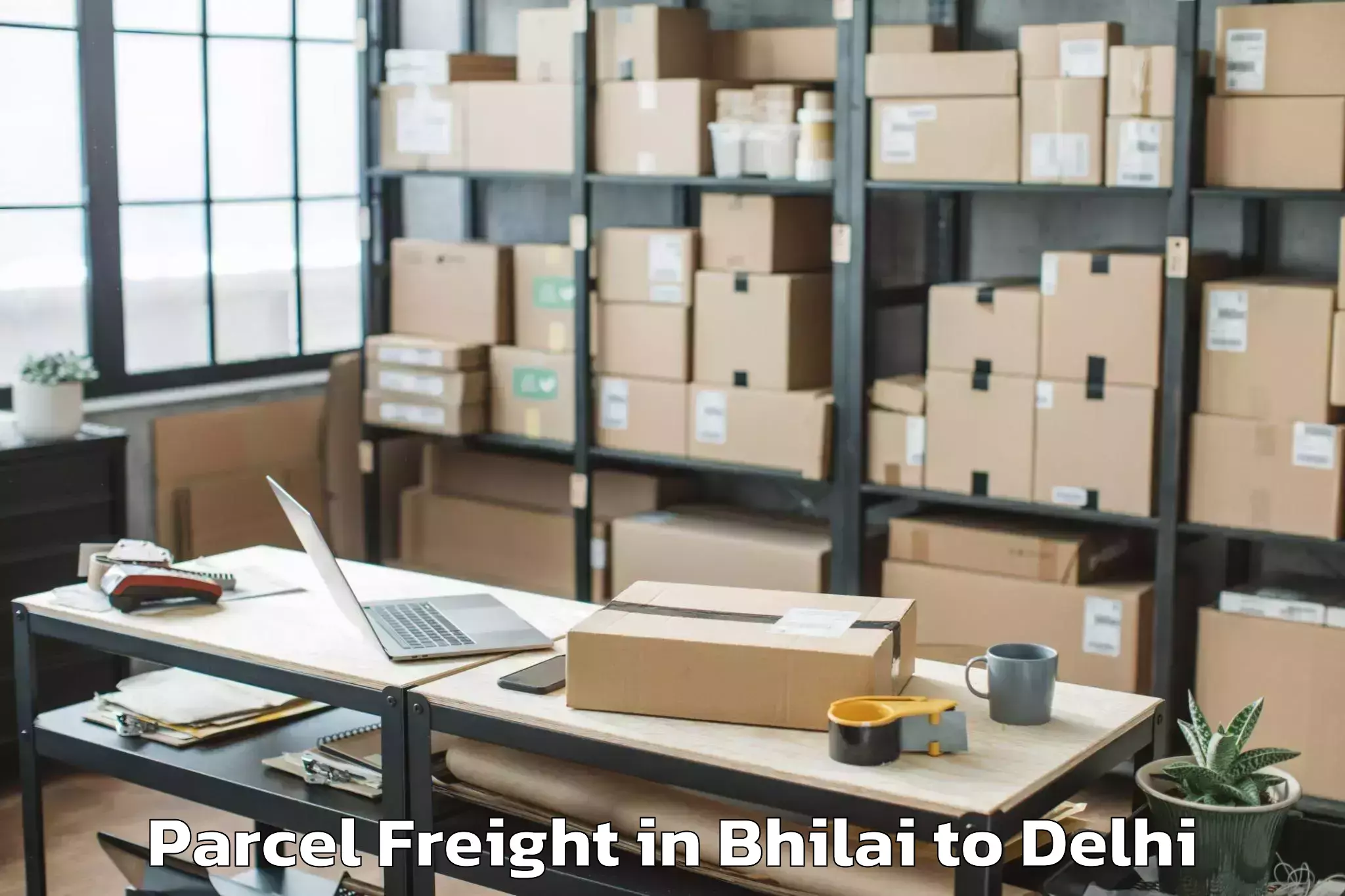 Get Bhilai to Naraina Industrial Estate Parcel Freight